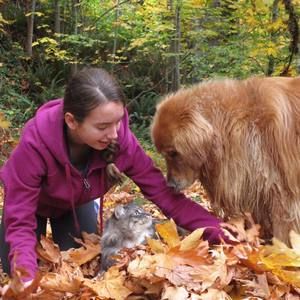 Meet your Posher, Dawne